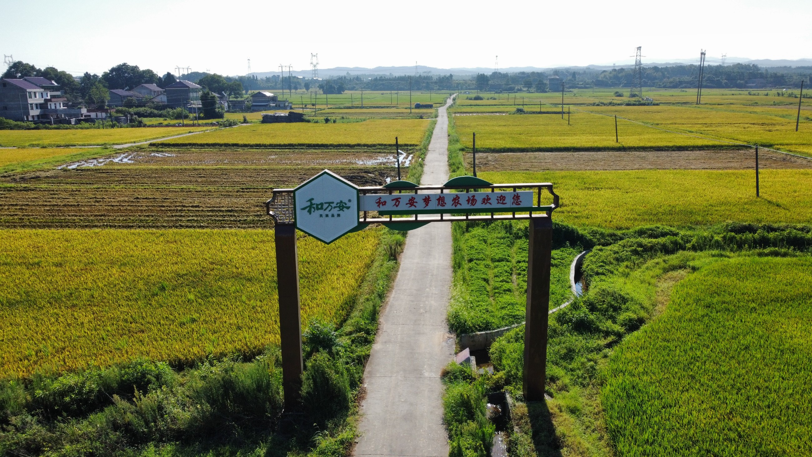 和萬安|生態(tài)農(nóng)業(yè)|有機食品|綠色食品|稻田共養(yǎng)