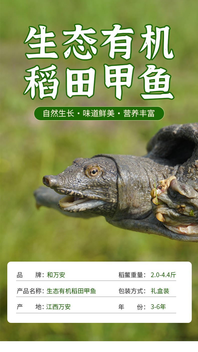 和萬安|生態(tài)農(nóng)業(yè)|有機(jī)食品|綠色食品|稻田共養(yǎng)