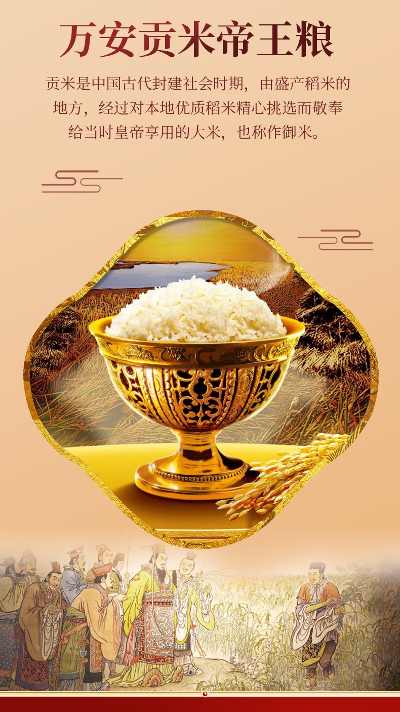 和萬安|生態(tài)農(nóng)業(yè)|有機(jī)食品|綠色食品|稻田共養(yǎng)