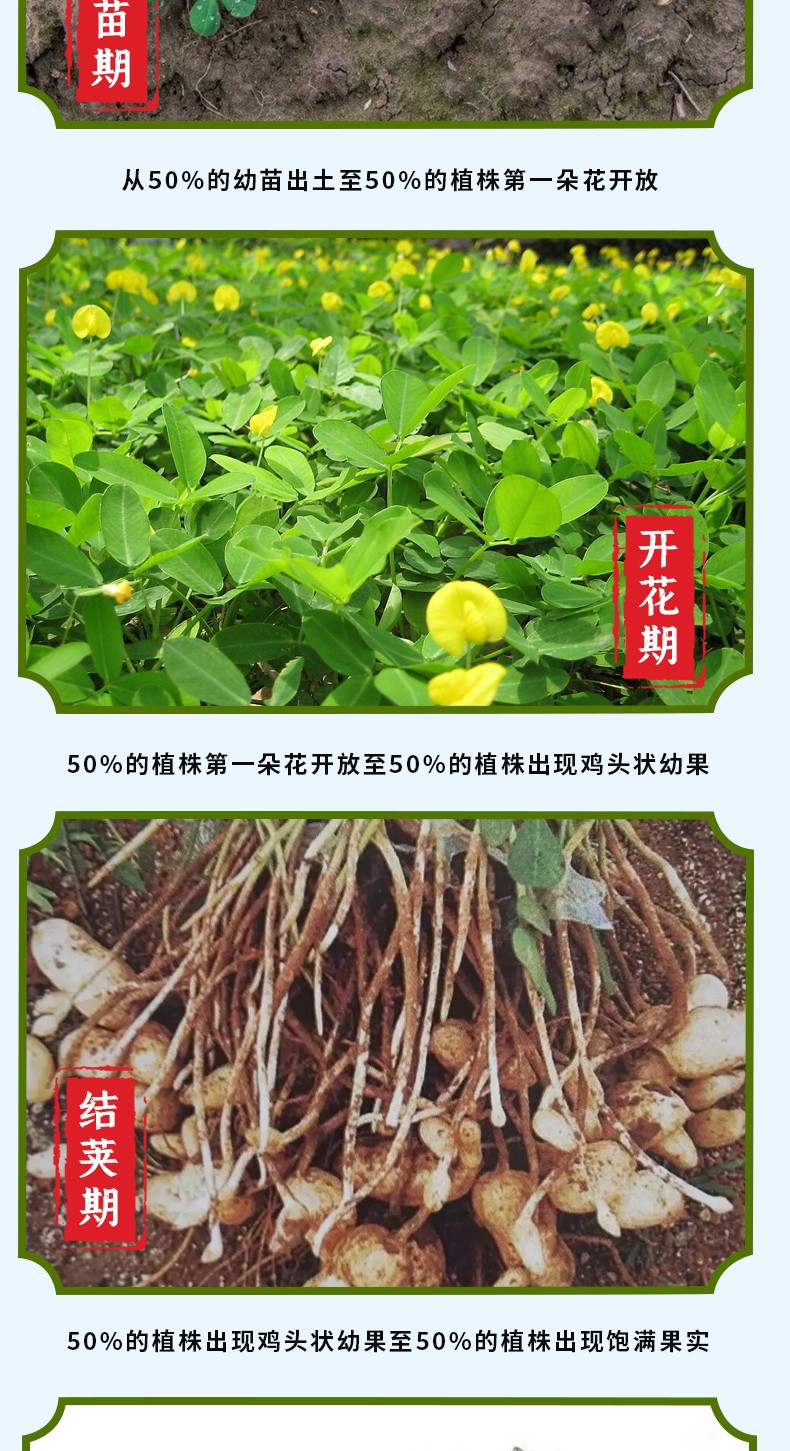 和萬安|生態(tài)農(nóng)業(yè)|有機食品|綠色食品|稻田共養(yǎng)