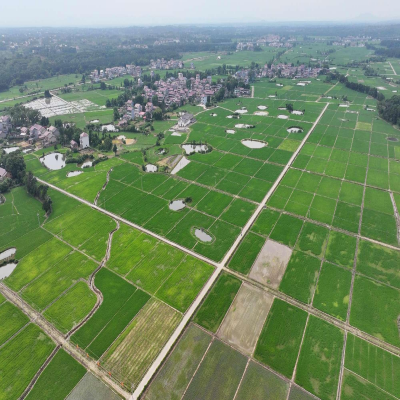 禾天下基地直播-韶口田西