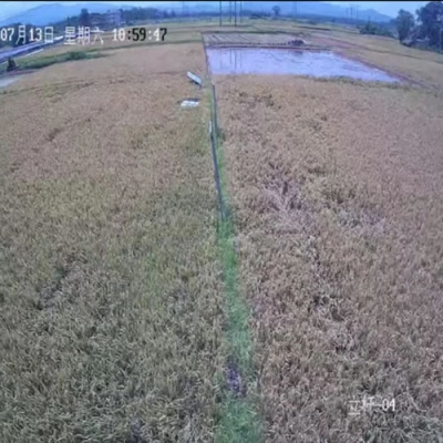 禾天下基地直播-韶口5